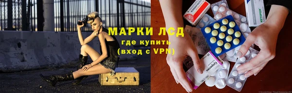 гидра Богородицк