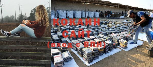 гидра Богданович