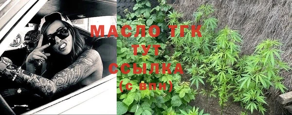 гидра Богданович