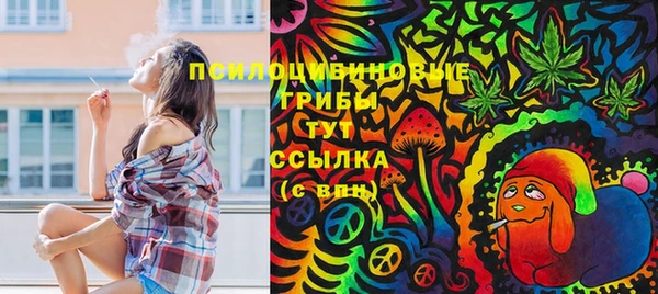гидра Богородицк