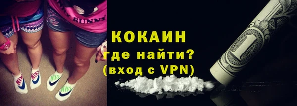 гидра Богородицк