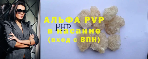 гидра Богородицк