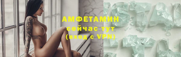 гидра Богородицк