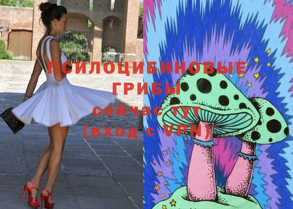 гидра Богородицк