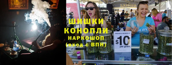 гидра Богородицк