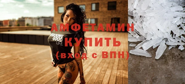 гидра Богданович
