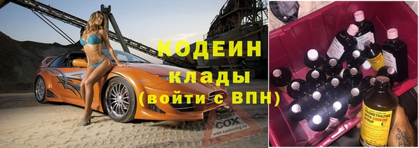 гидра Богородицк