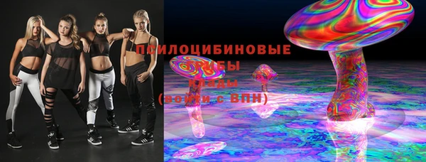 гидра Богородицк