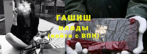 гидра Богданович