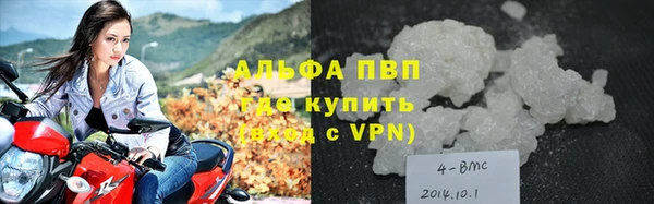гидра Богородицк