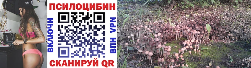 Псилоцибиновые грибы GOLDEN TEACHER  Купить где  Новосиль 